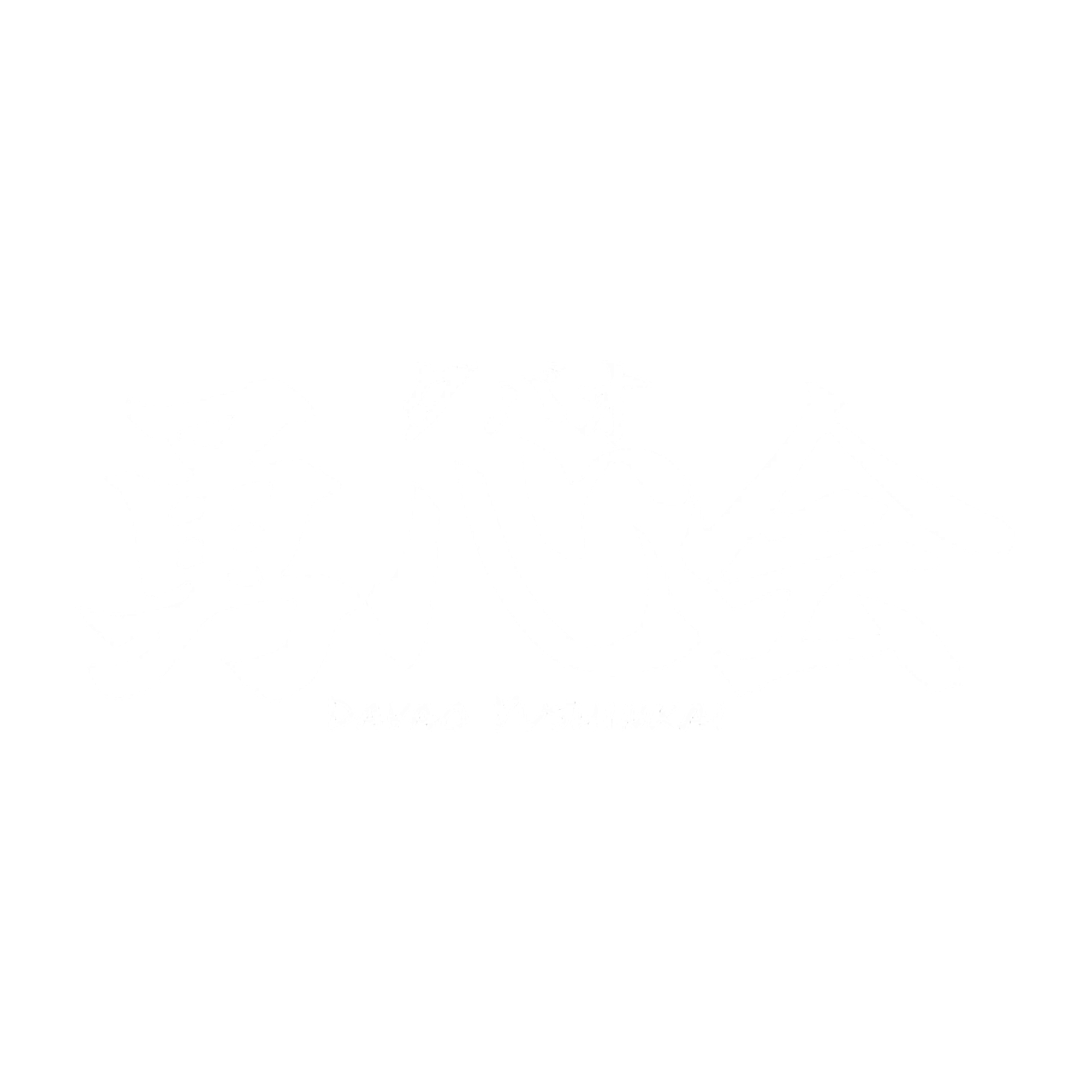 Davao Yushinkai Logo